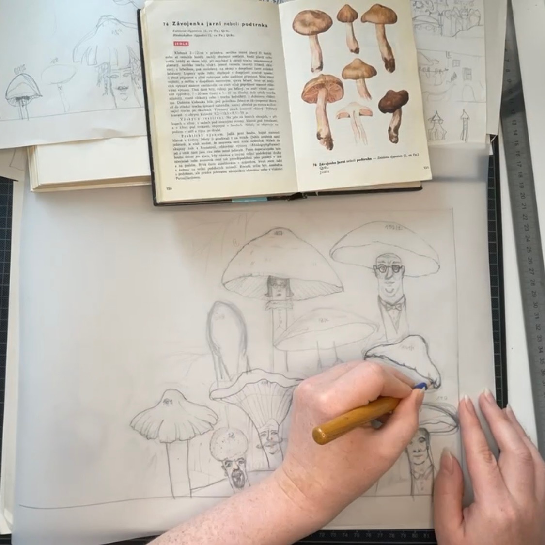 Houby – ilustrace z knihy Na houbách